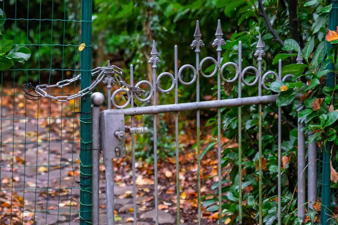Decorative wrought-iron gate with pointed finials, a green mesh fence, and a leafy garden behind, with fallen leaves on the ground.