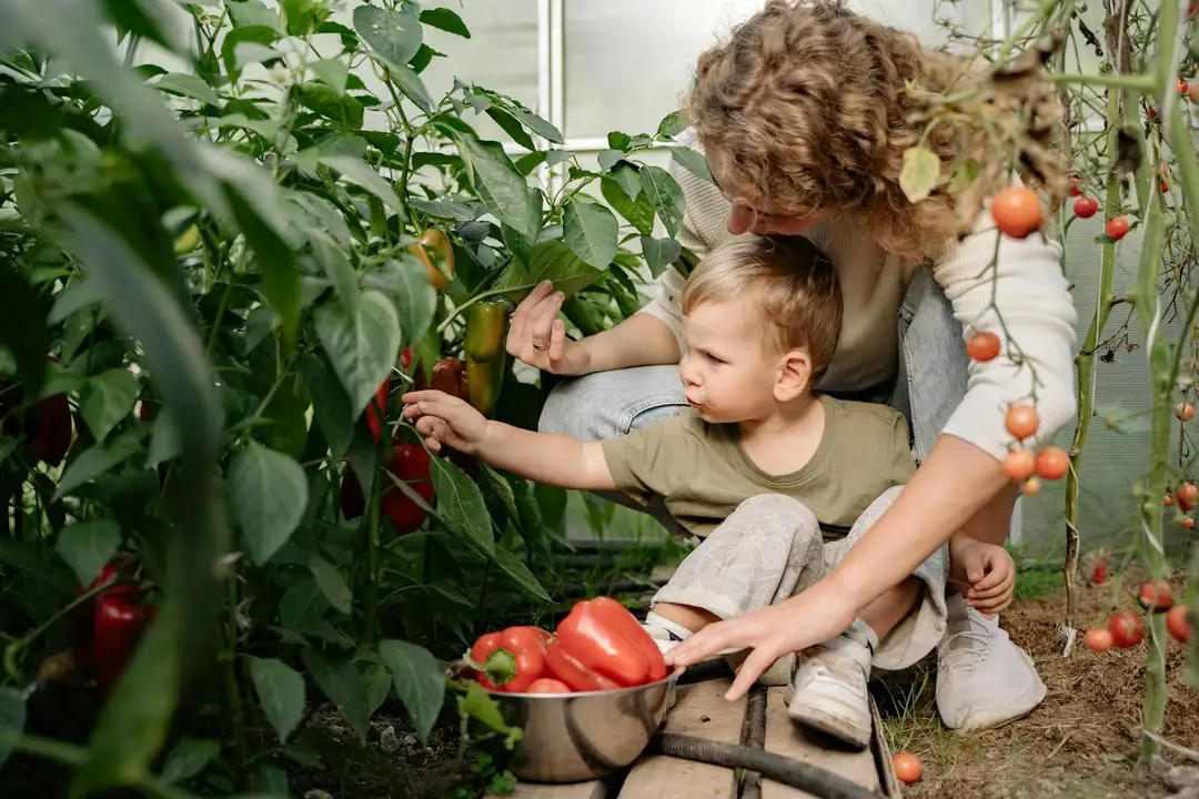 A mother and child tending a backyard vegetable garden with tomato plants and ripe red tomatoes.