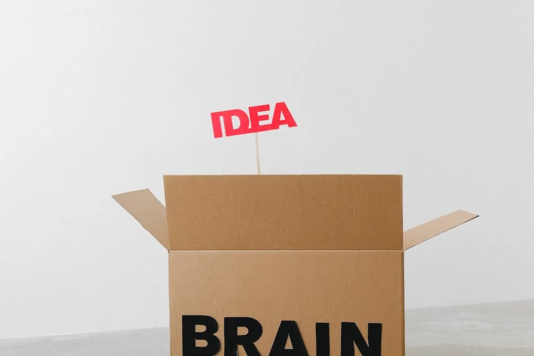 Cardboard box labeled 'BRAIN' with a red 'IDEA' sign rising from it, symbolizing brainstorming for HOA proposals