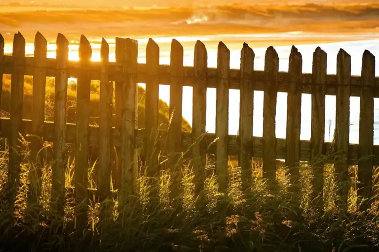 Picket fence silhouetted against a golden sunset with tall grasses in the foreground
