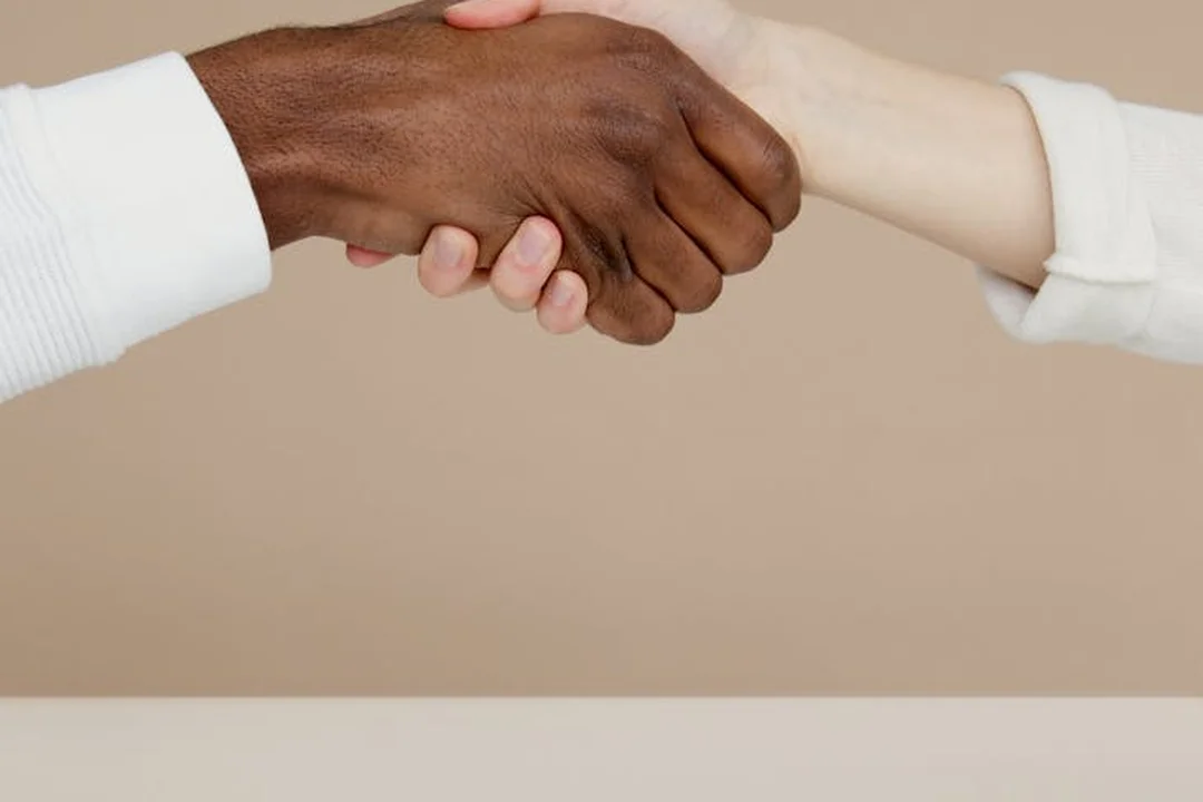 Two hands from different individuals engaging in a firm handshake against a neutral background.
