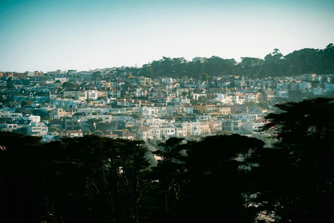 Silhouetted trees in the foreground with a densely built hillside neighborhood of houses in the background.