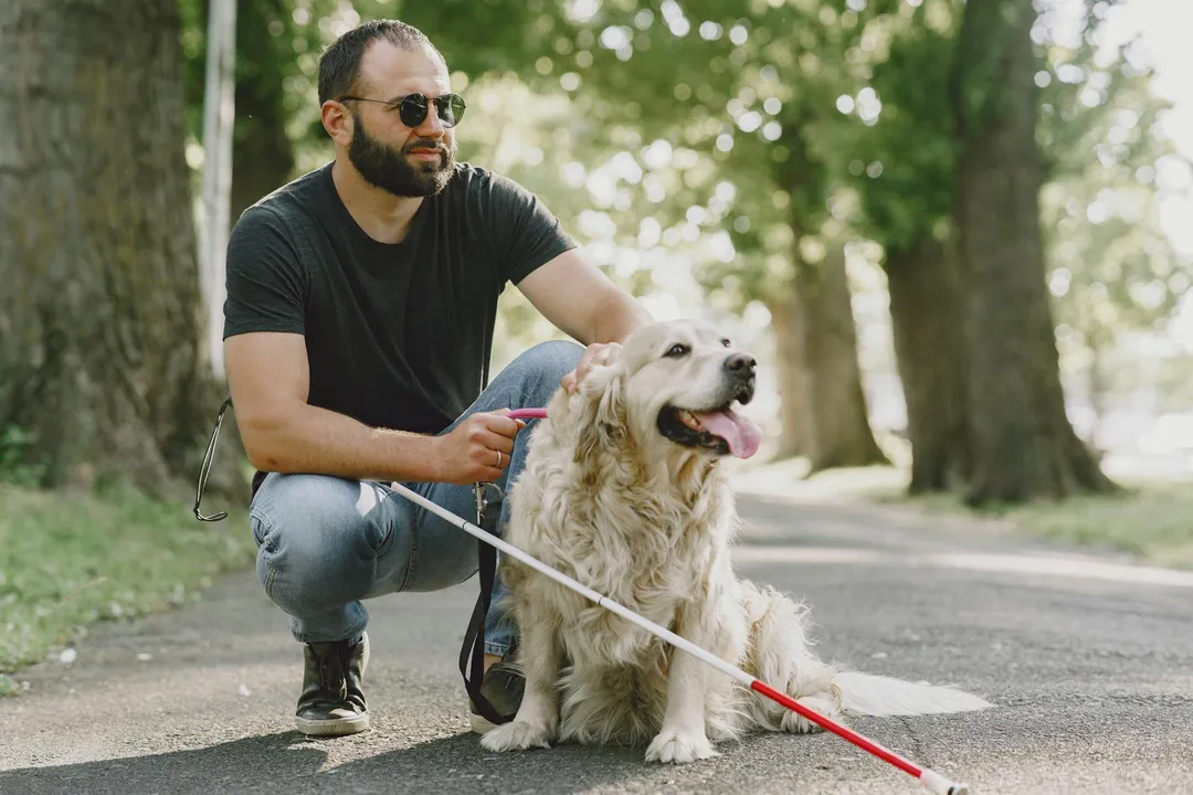 Man kneeling beside a golden retriever on a leash in a park, representing emotional support animals and HOA pet policies
