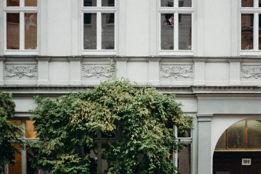 Facade of a light-colored multi-story building with ornate detailing and large windows, partially obscured by a lush green shrub in front.