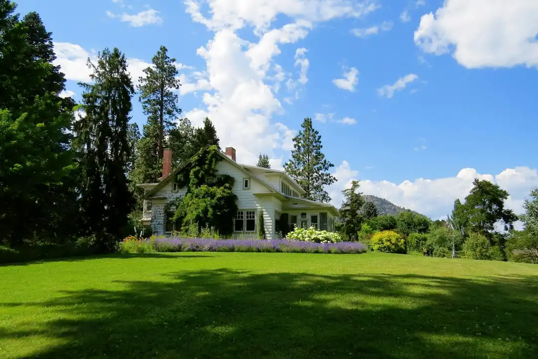 A well-kept single-family house with a expansive green lawn, tall trees, and a bright blue sky—visualizing a residential property potentially affected by HOA liens.