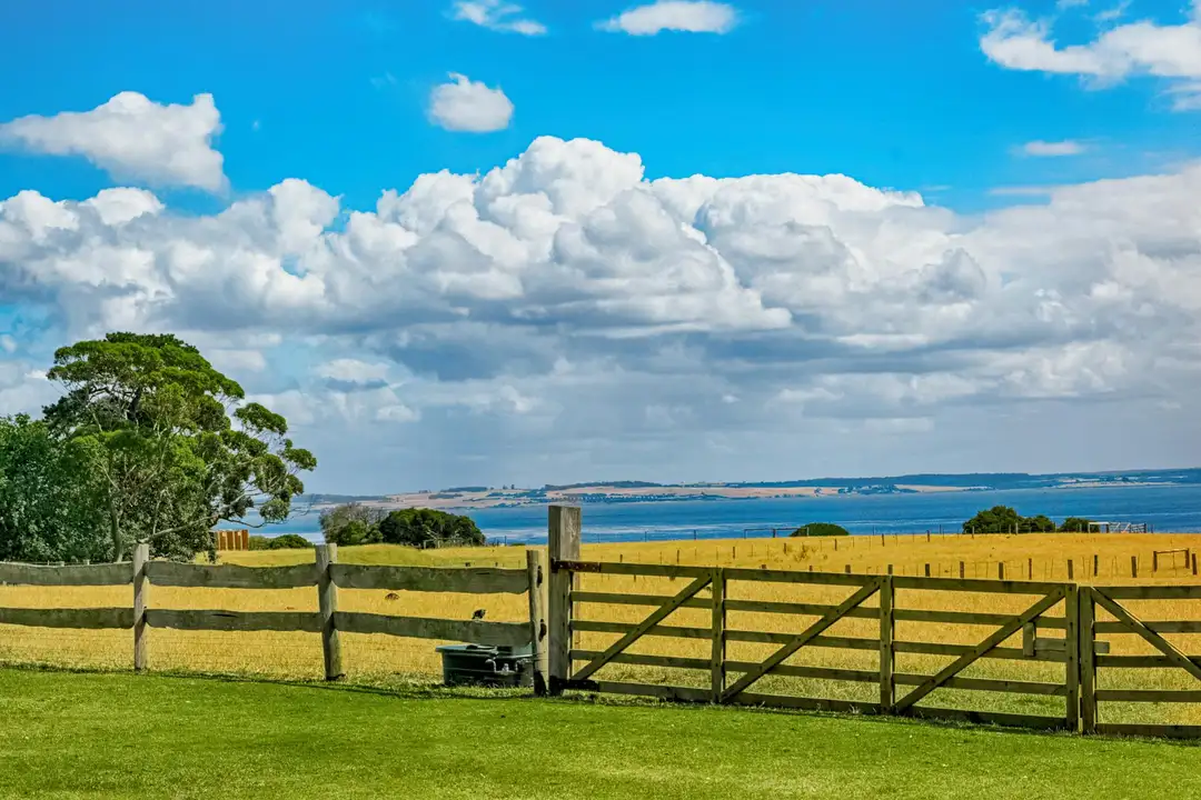 Open field with a wooden fence and gate, a tree on the left, and a distant body of water under a bright blue sky with clouds.