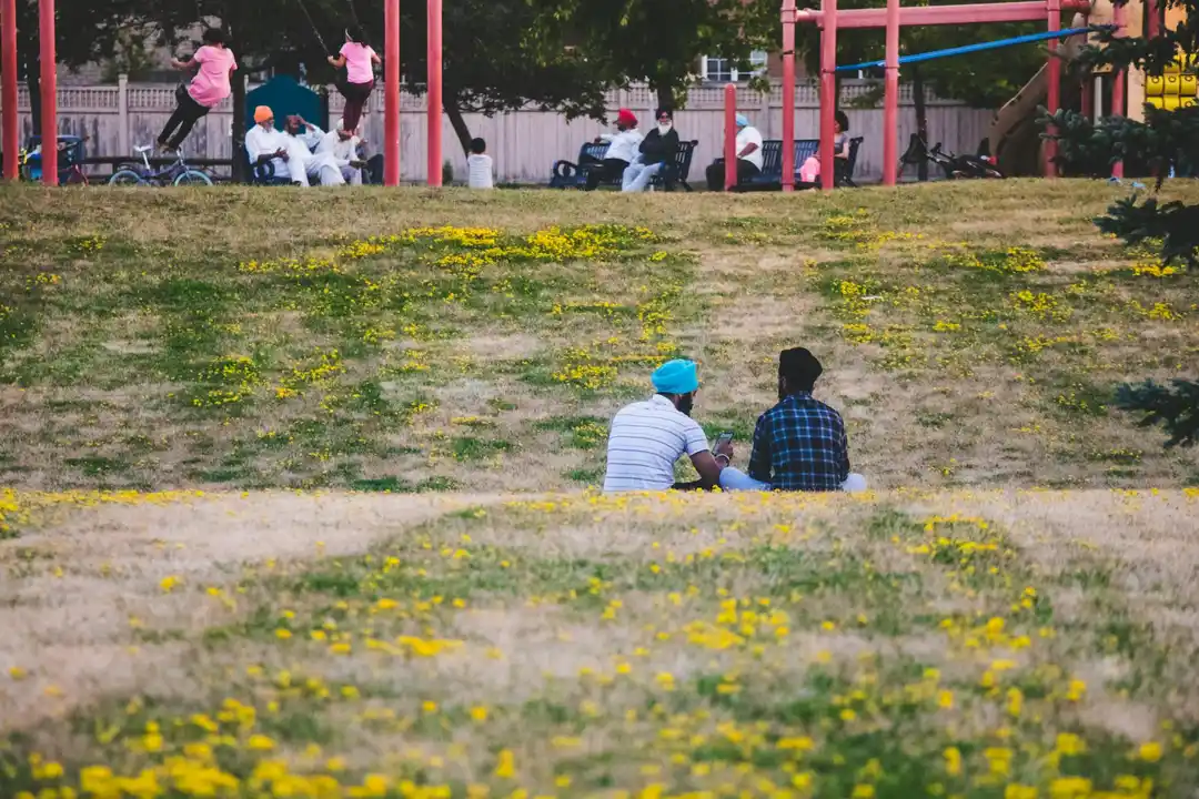Two adults sitting on a grassy slope in a park with a playground and other residents in the background; yellow flowers dot the foreground.