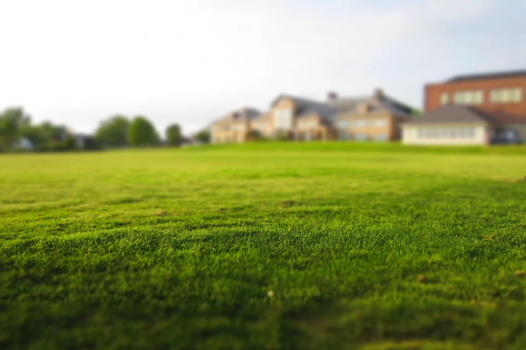 Lush green lawn in front of a row of suburban houses, representing a neighborhood with homeowner associations.