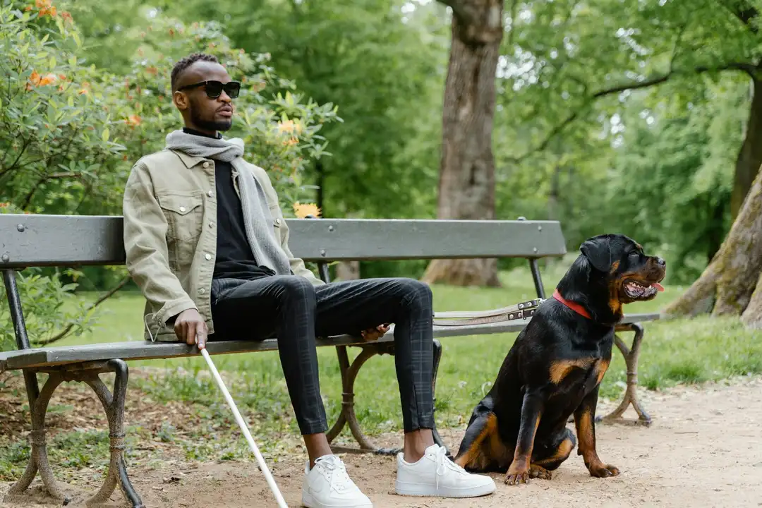 A man wearing sunglasses sits on a park bench beside a black and tan service dog on a leash; a white cane rests on his leg, suggesting the dog may be a service animal.