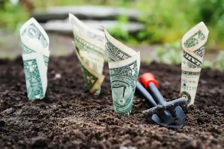 Dollar bills planted in soil with a small garden trowel, symbolizing digging into HOA finances.