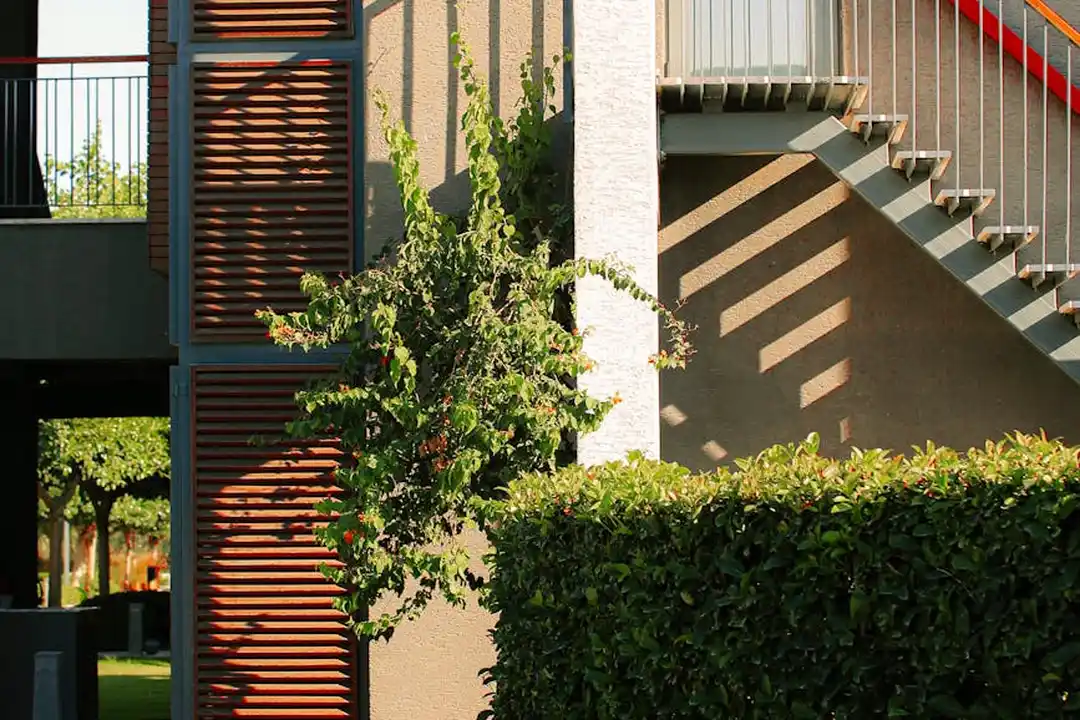 Exterior view of a residential building featuring a staircase, a small tree, and neatly trimmed hedges