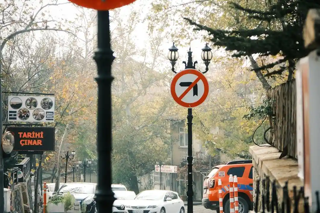 Urban street scene with a prominent no-left-turn sign, construction cones, parked cars, and a sidewalk lined with trees and lampposts.