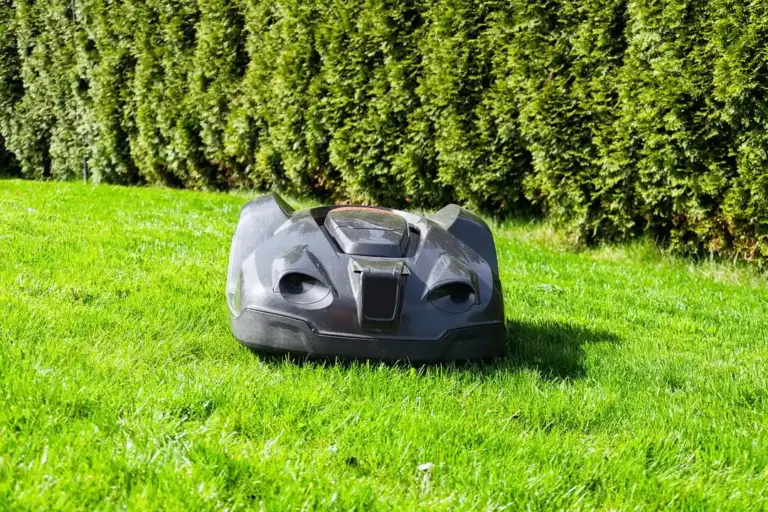 A robotic lawn mower sits on a well-kept green lawn with a tall hedge in the background.