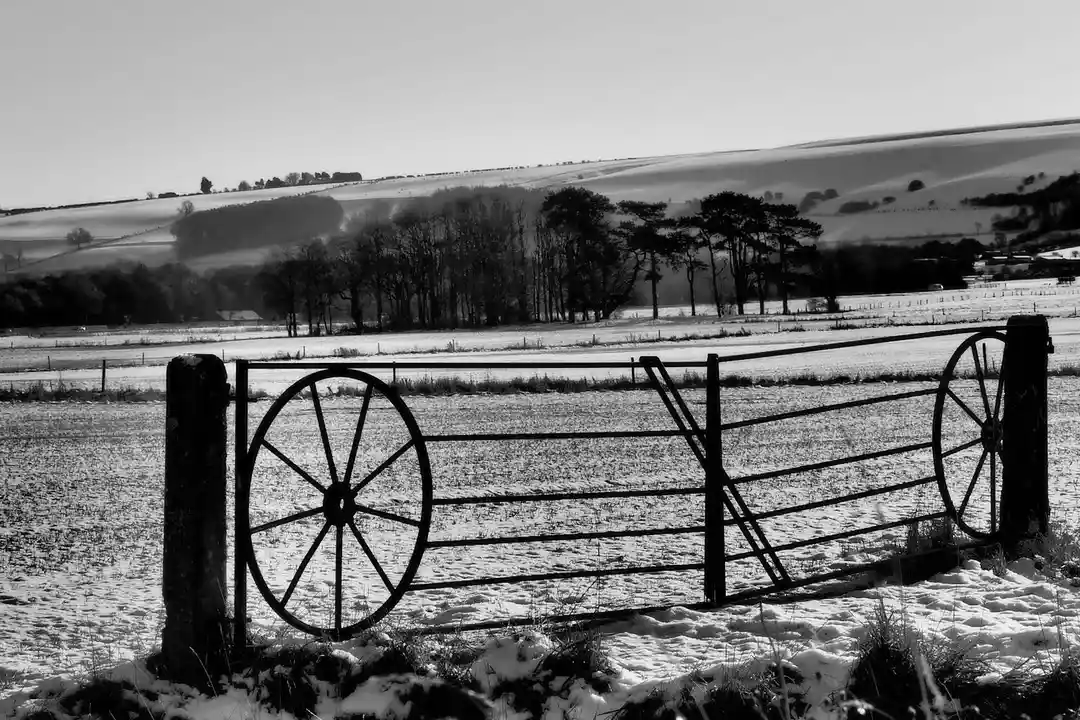 Snow-covered rural gate and fence in a field