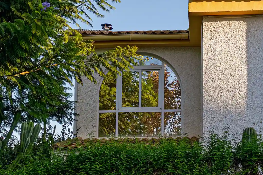 Front yard landscaping featuring a hedge along the foundation, drought-tolerant plants, and a window of a stucco house.