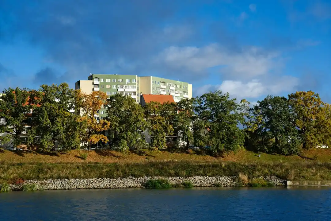 Riverbank with trees and a multi-story residential building in the distance under a blue sky.