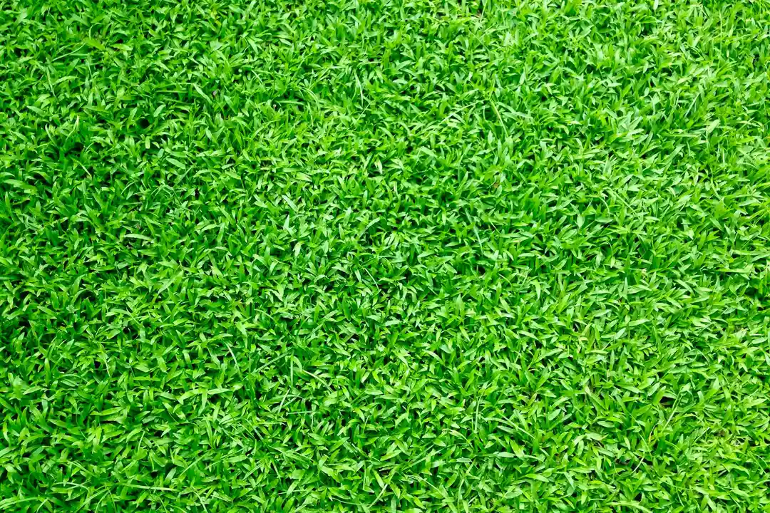 Close-up of dense, vibrant green artificial turf fibers.