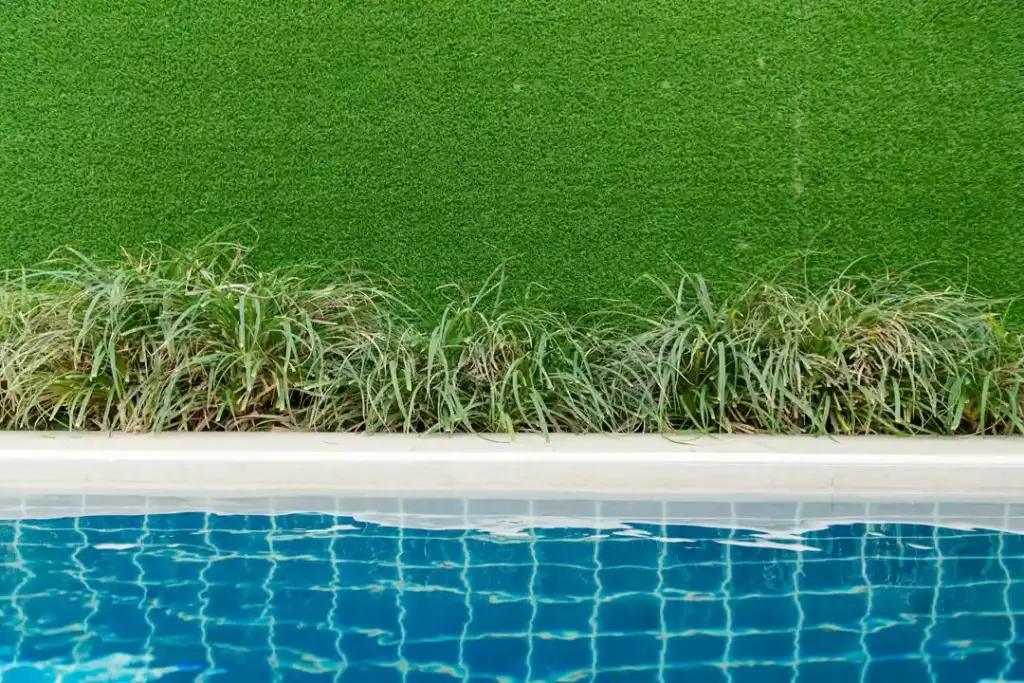 Xeriscaping and Artificial Turf: Navigating Water-Wise Landscaping Rules