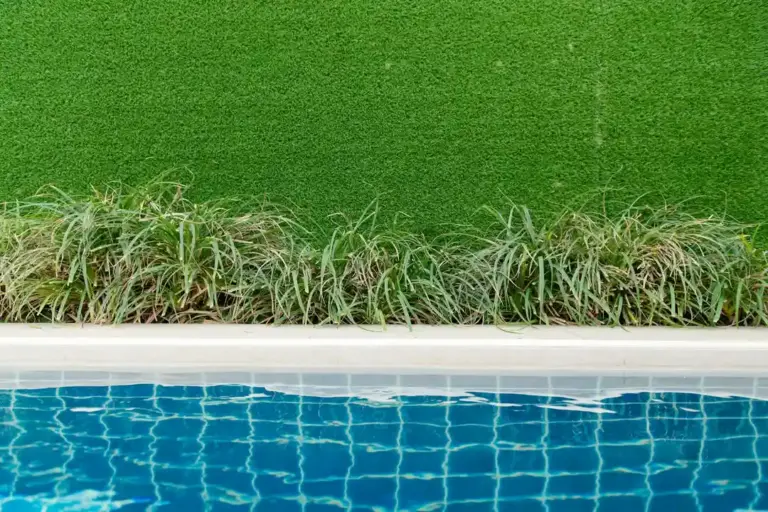 Poolside scene with bright blue water and a narrow strip of green turf or grass edged by ornamental grasses.